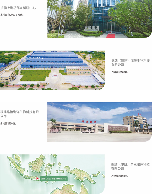 組織架構(gòu)Xpng.png